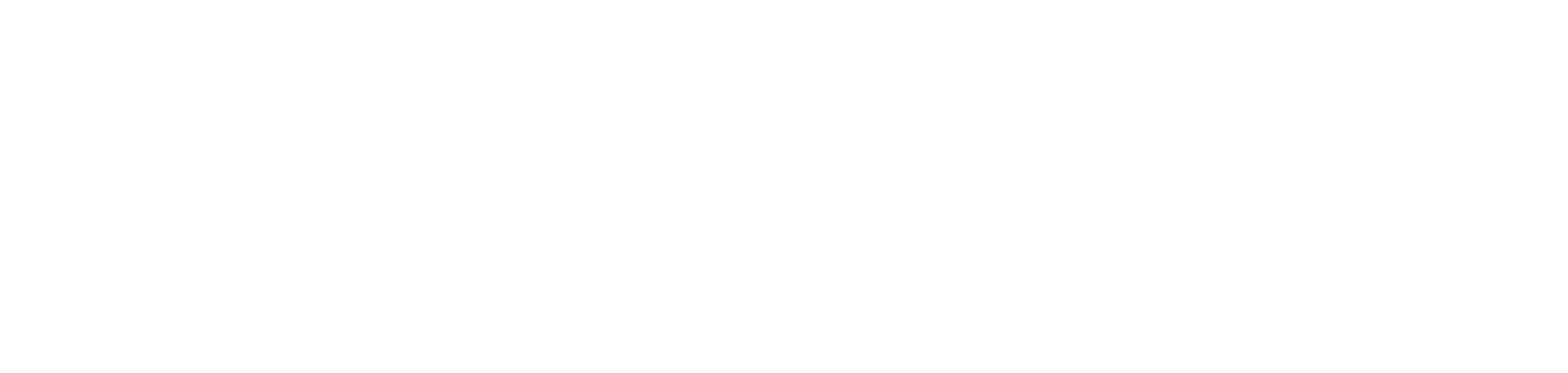 APMIC Logo